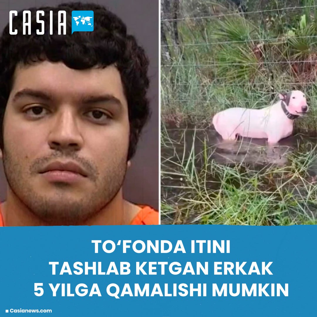 A man who abandoned his dog during Hurricane Milton could be jailed for 5 years