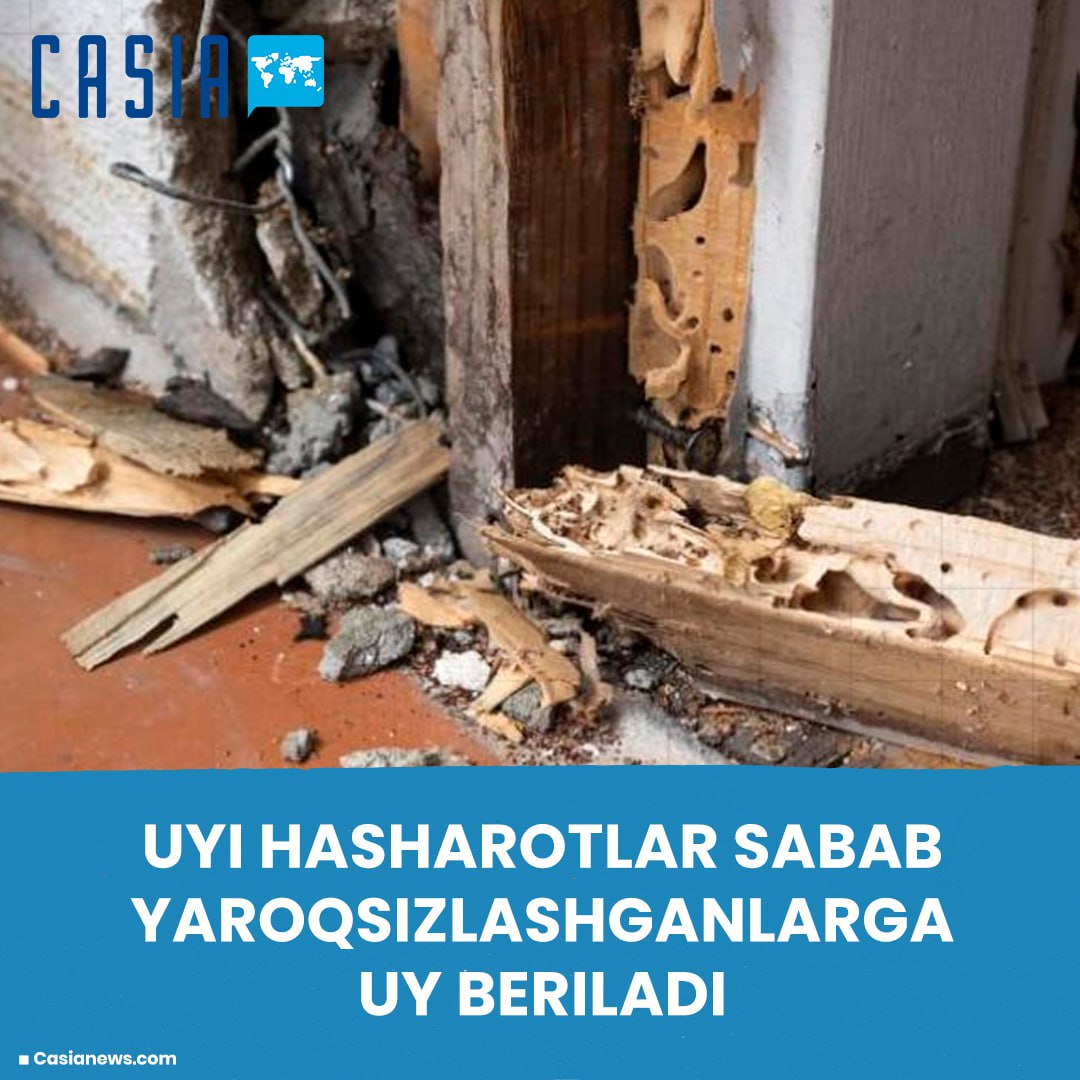 If your home is uninhabitable due to termites or other insects, the state will provide you with new housing.