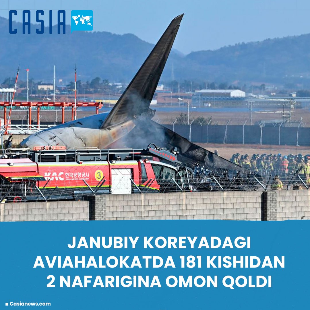 Only 2 out of 181 people survived in South Korean plane crash