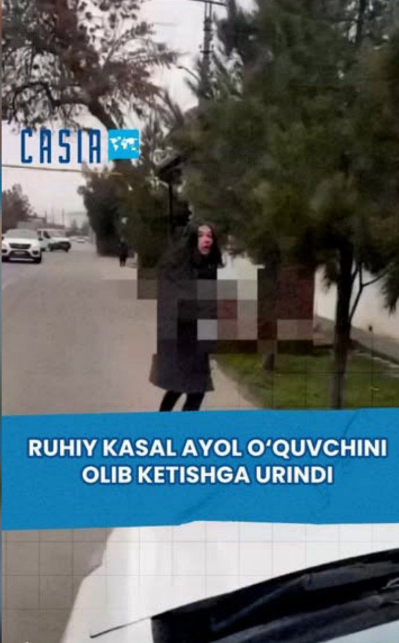 Mentally ill woman tried to kidnap a schoolgirl