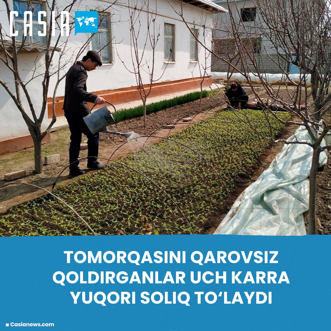 Those who leave their plots unattended will pay a three-fold higher tax