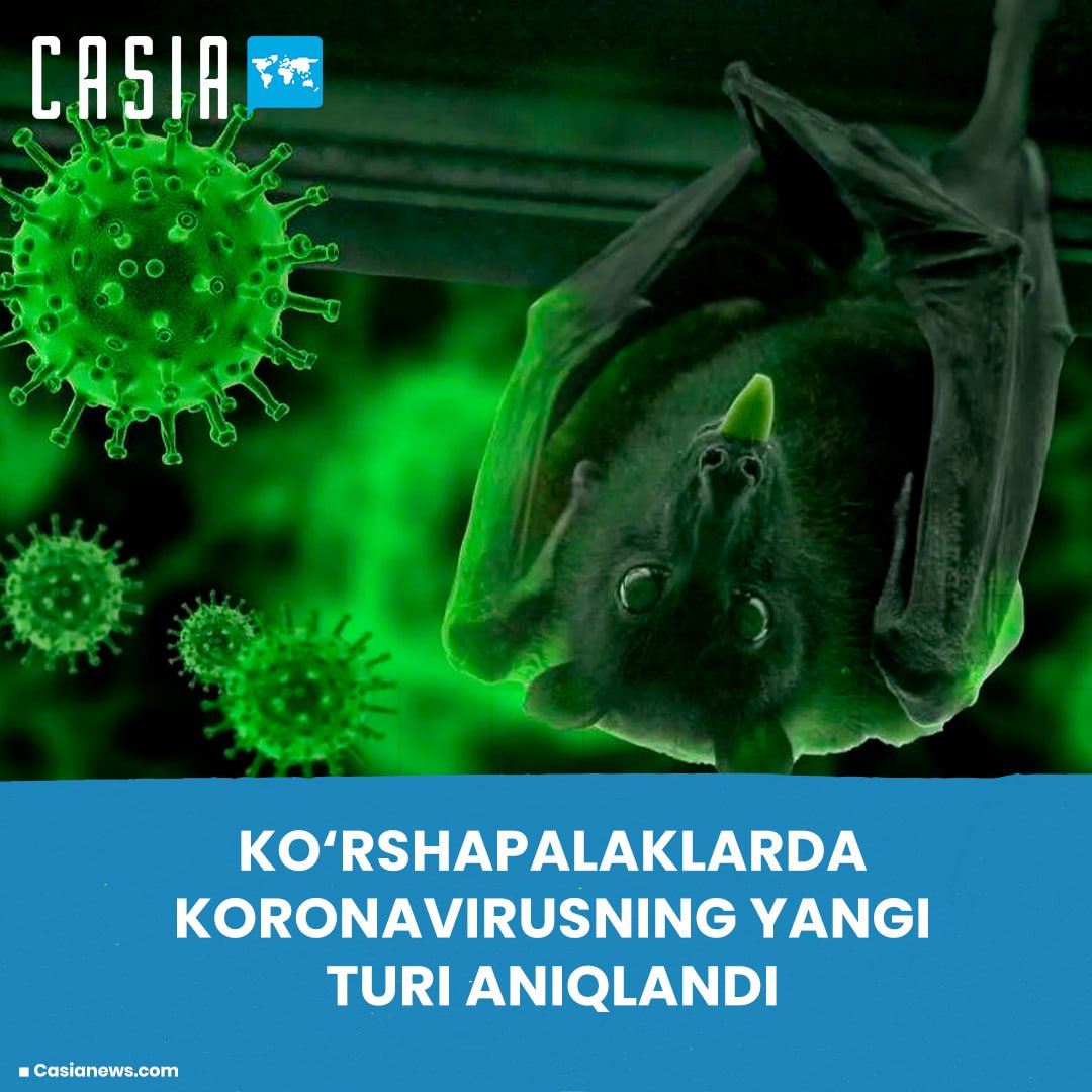 New coronavirus strain identified in China