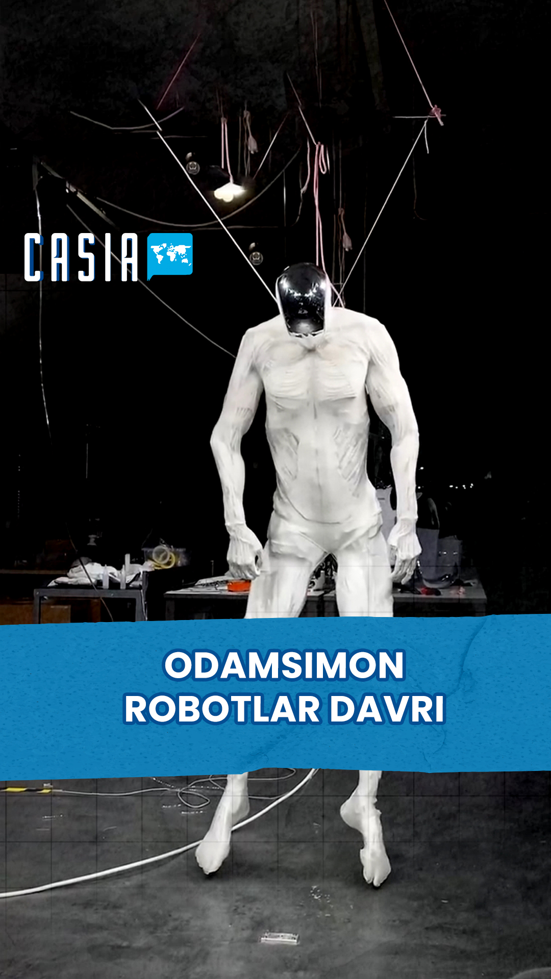 The Age of Humanoid Robots