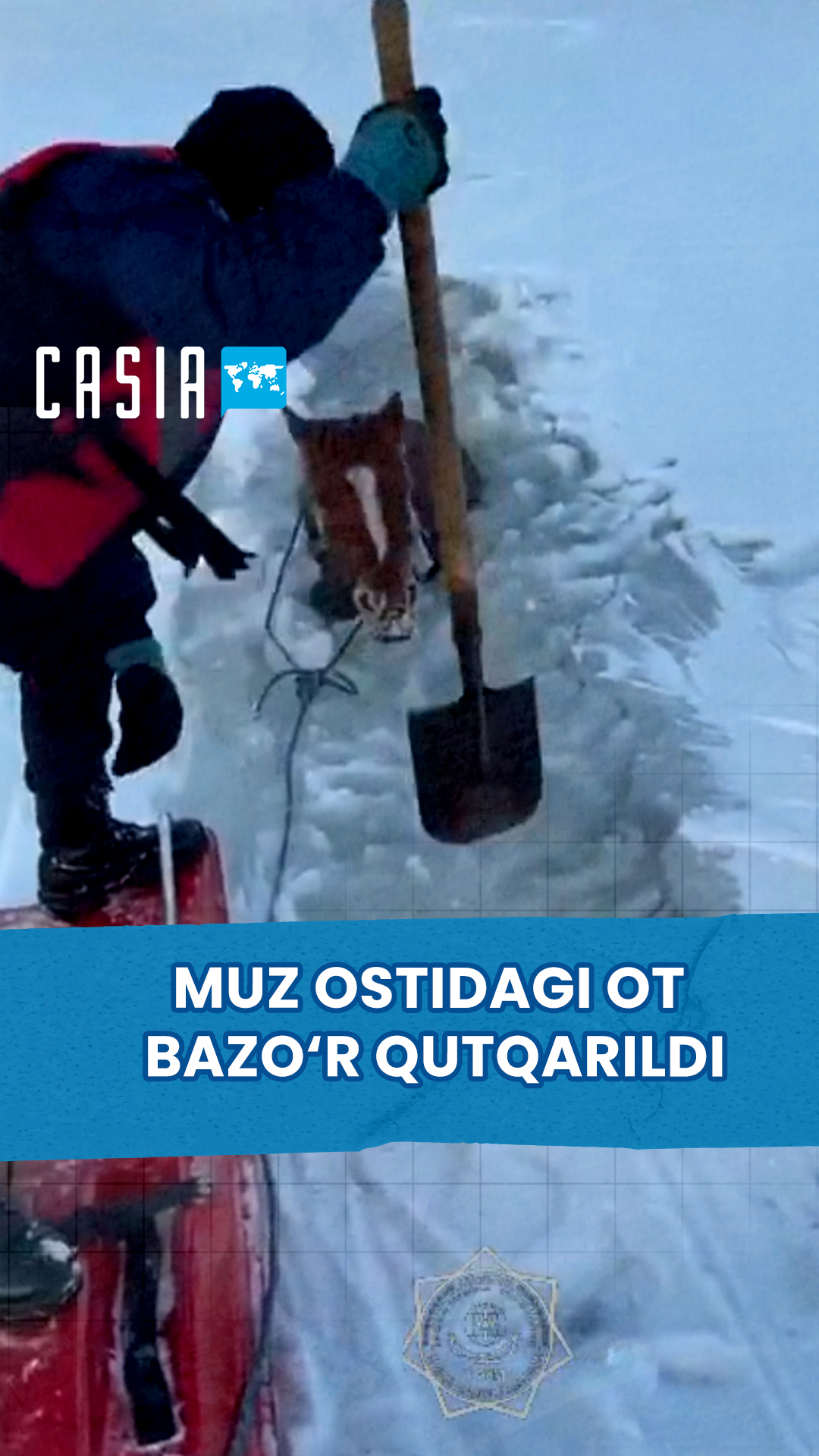Horse trapped in ice in Kazakhstan rescued in 3 hours