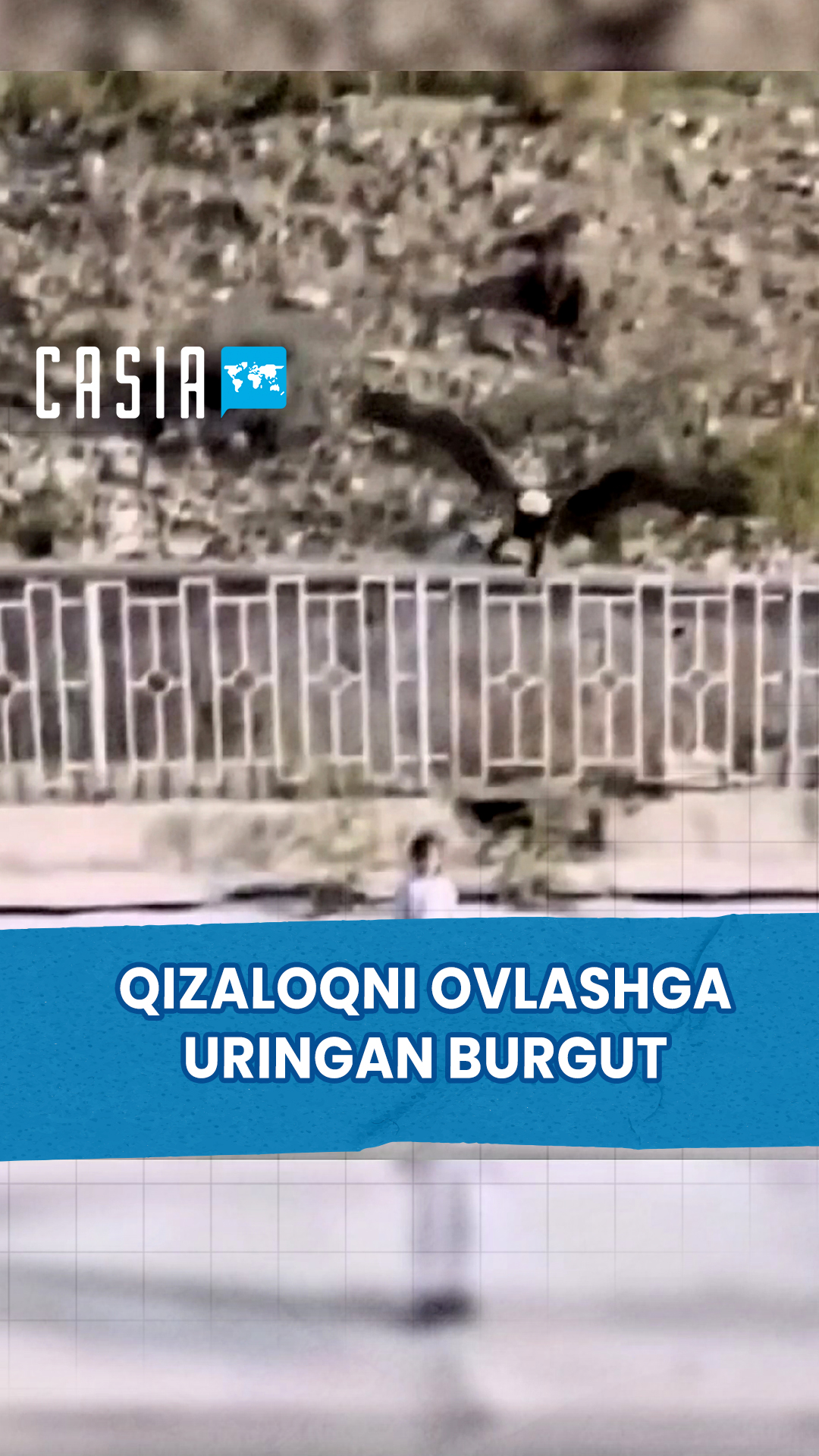 Eagle tries to catch little girl