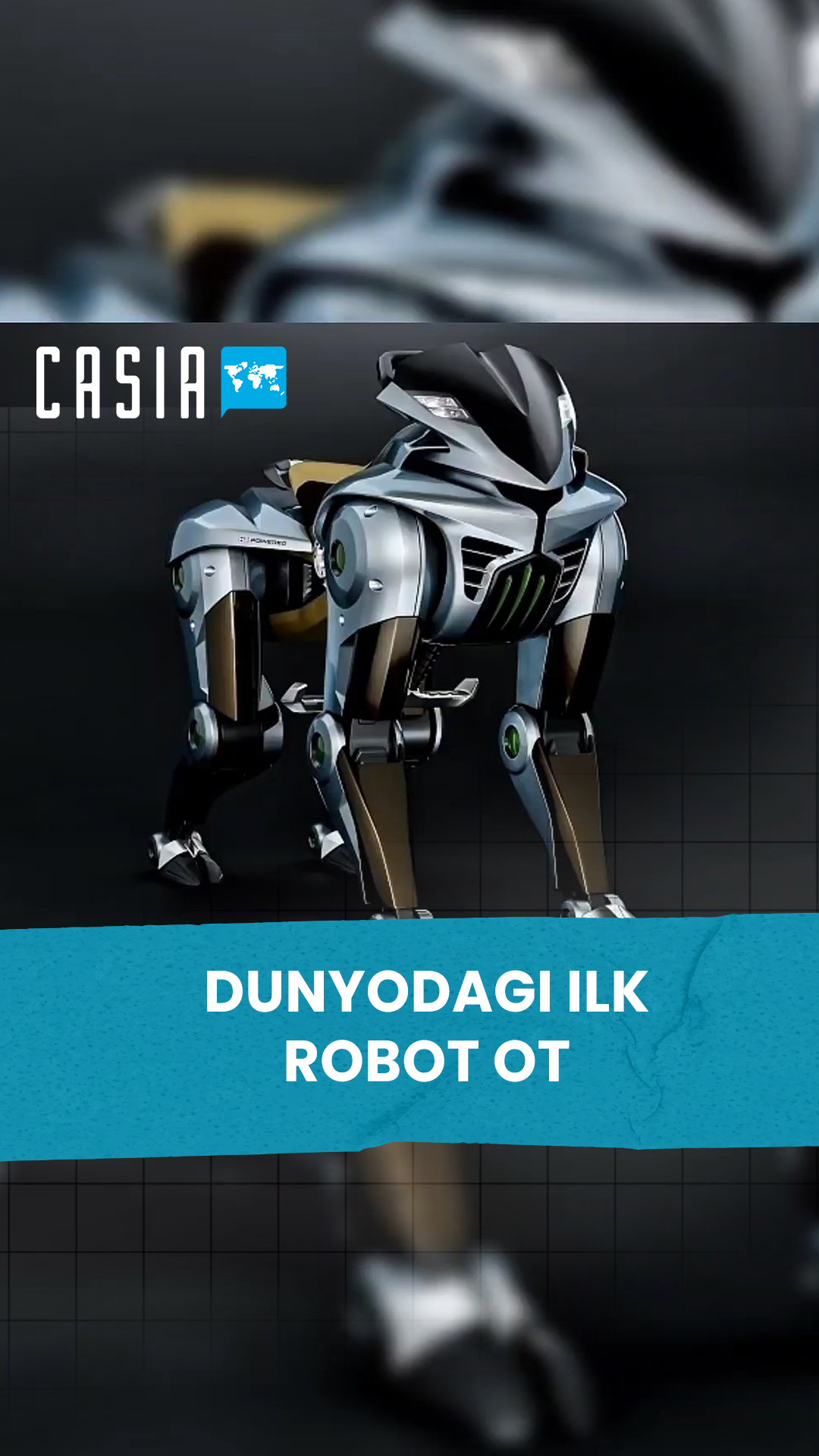 World's first robot horse unveiled