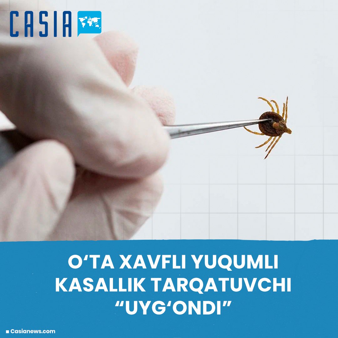 In Uzbekistan, a highly dangerous infectious disease carrier “wakes up”