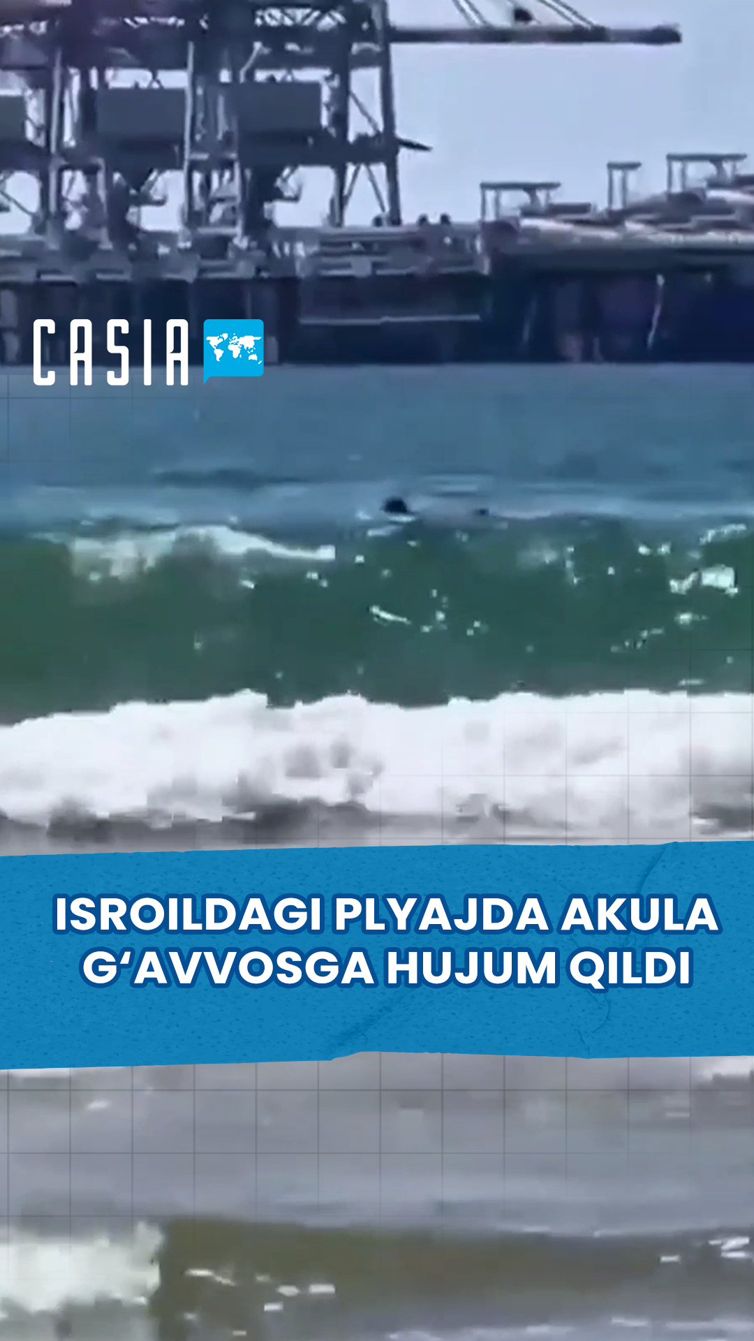 Shark attacks diver on Israeli beach