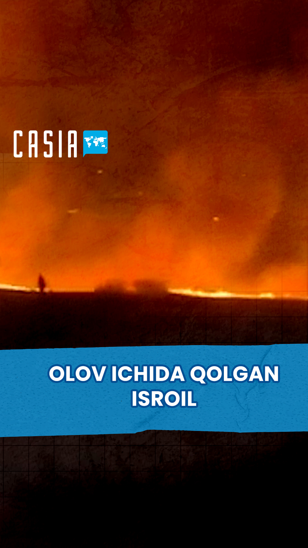 Forest fire in Israel