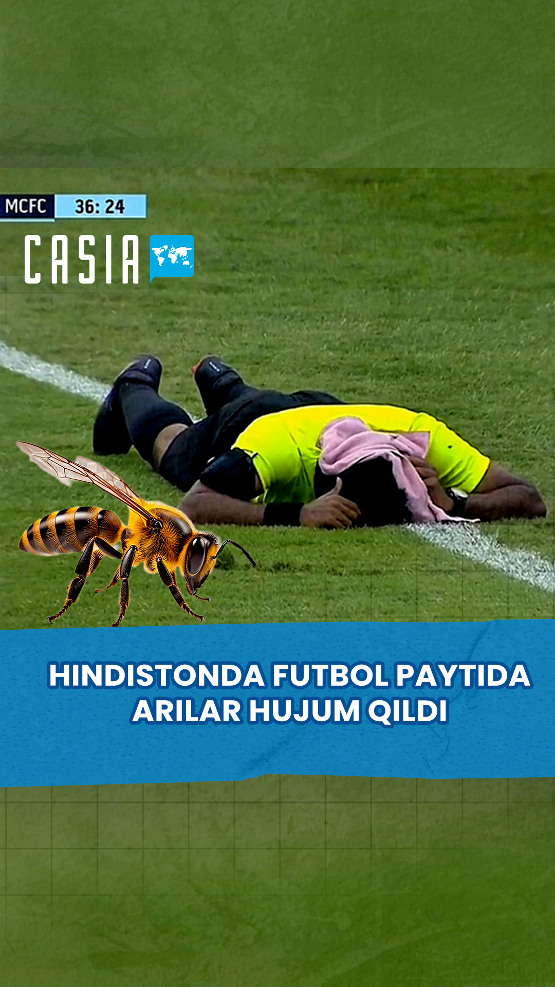 Football match in India suspended due to bee attack