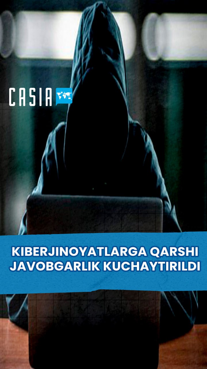 Increased responsibility for cybercrimes