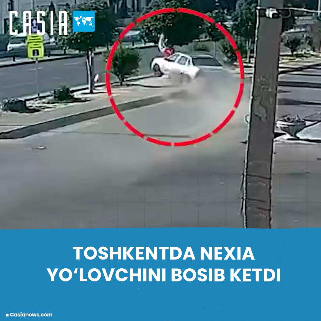 Nexia driver hits pedestrian, knocks down tree in Tashkent