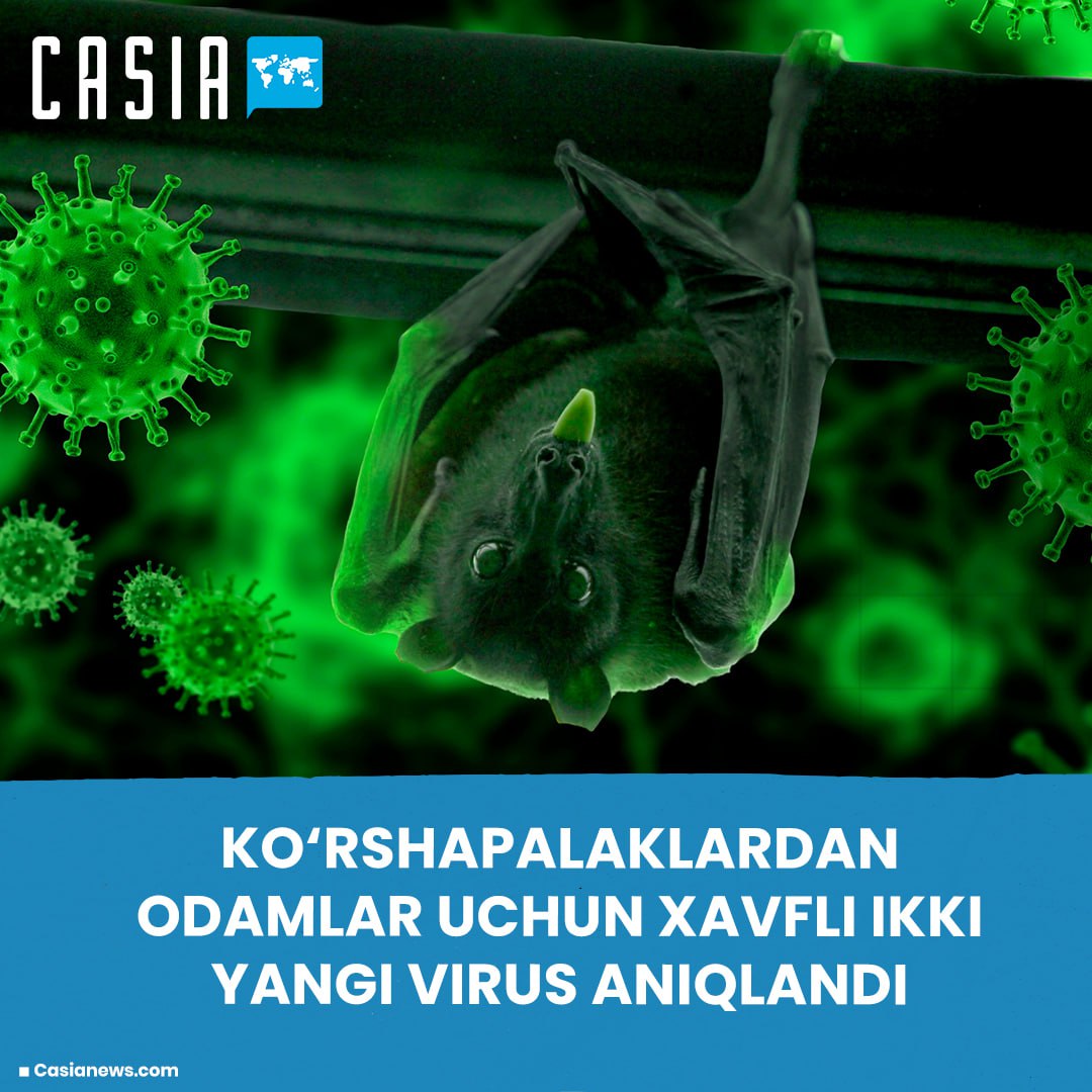 🦇🦠 Two new viruses dangerous to humans have been identified in bats in China