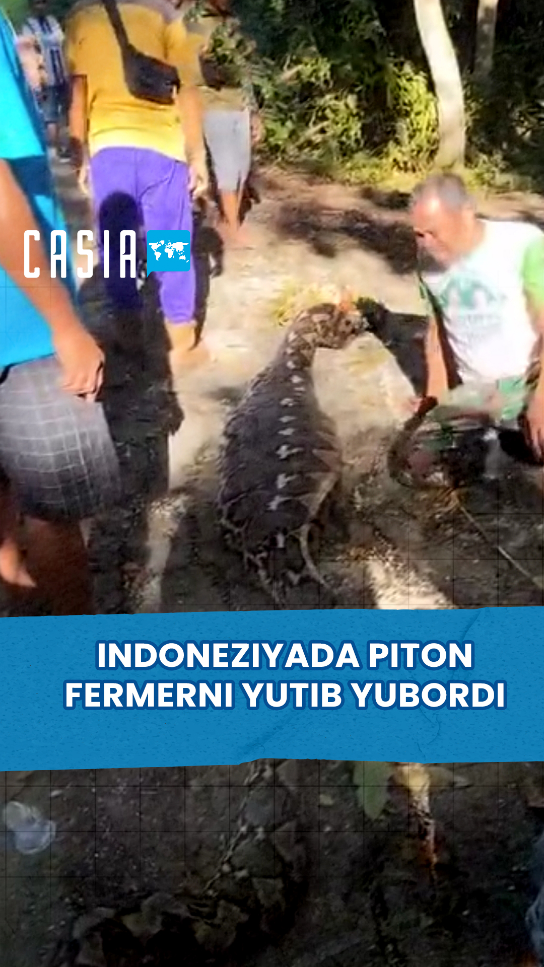 😱 Python swallows 61-year-old farmer in Indonesia