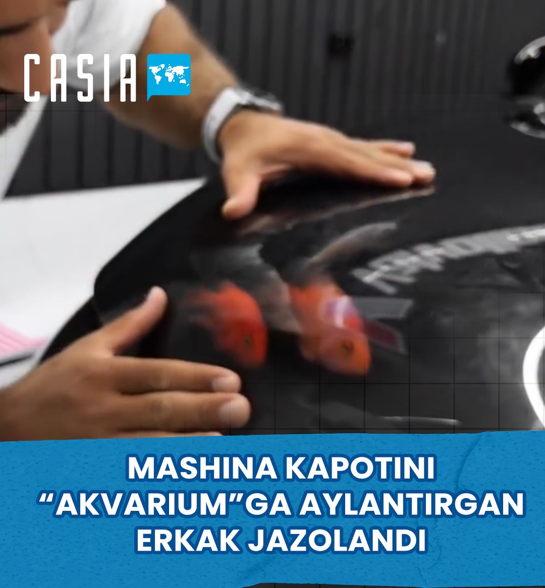A man who turned his car hood into an “aquarium” was punished