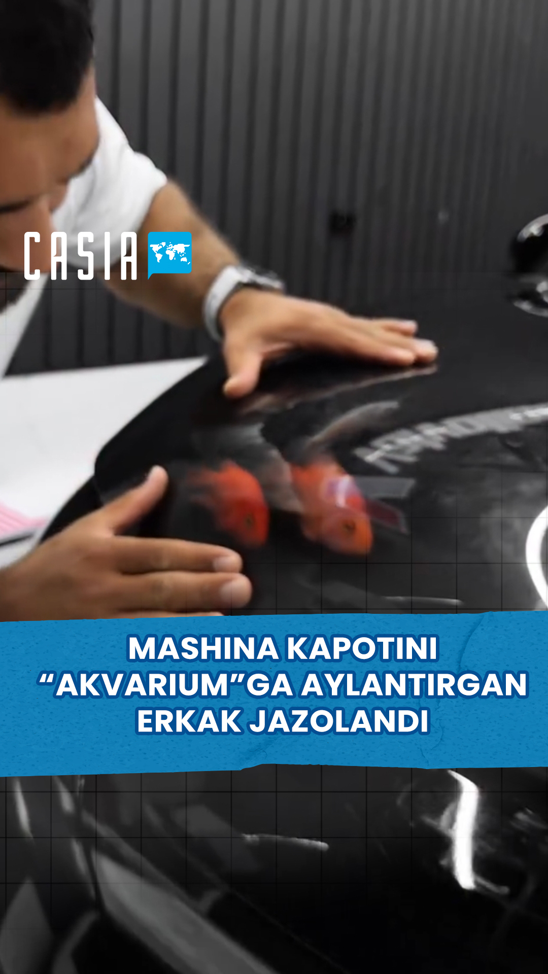 Man fined for turning car hood into "aquarium"