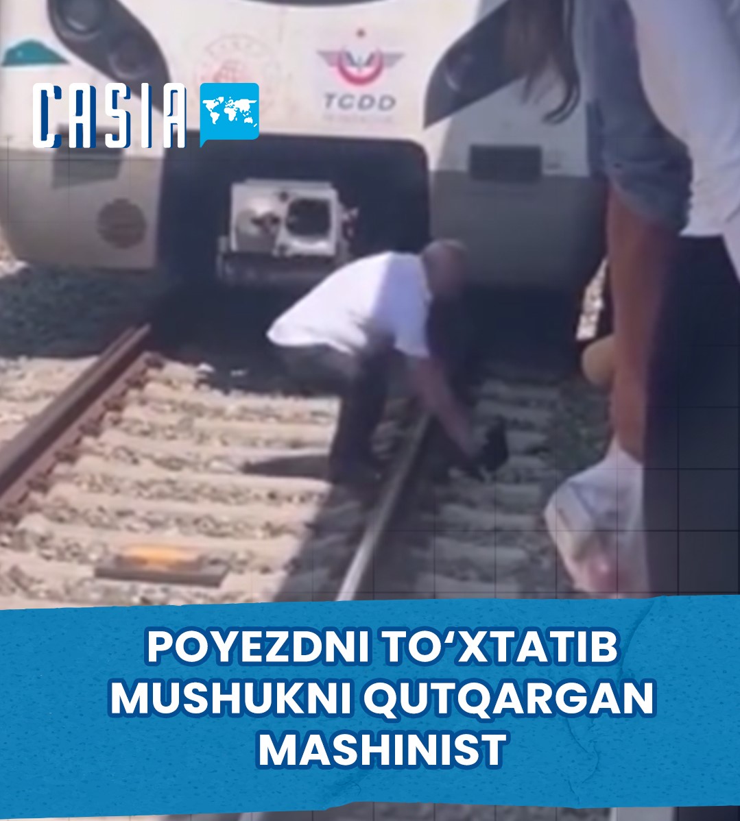 A cat stuck on railway tracks in Turkey has been rescued