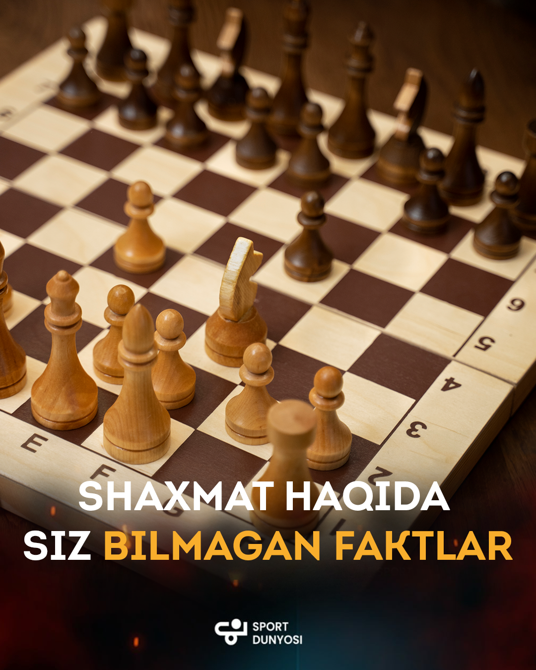 Facts you didn't know about chess