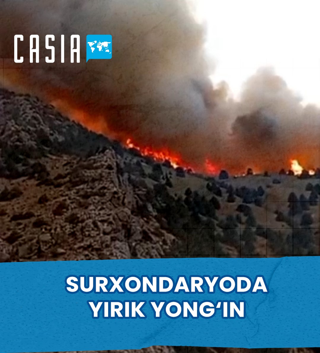 A large fire broke out in Surkhandarya in a nature reserve