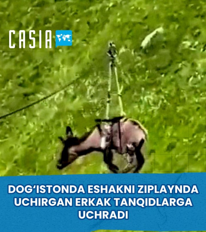 Man who shot a donkey in Dagestan faces criticism