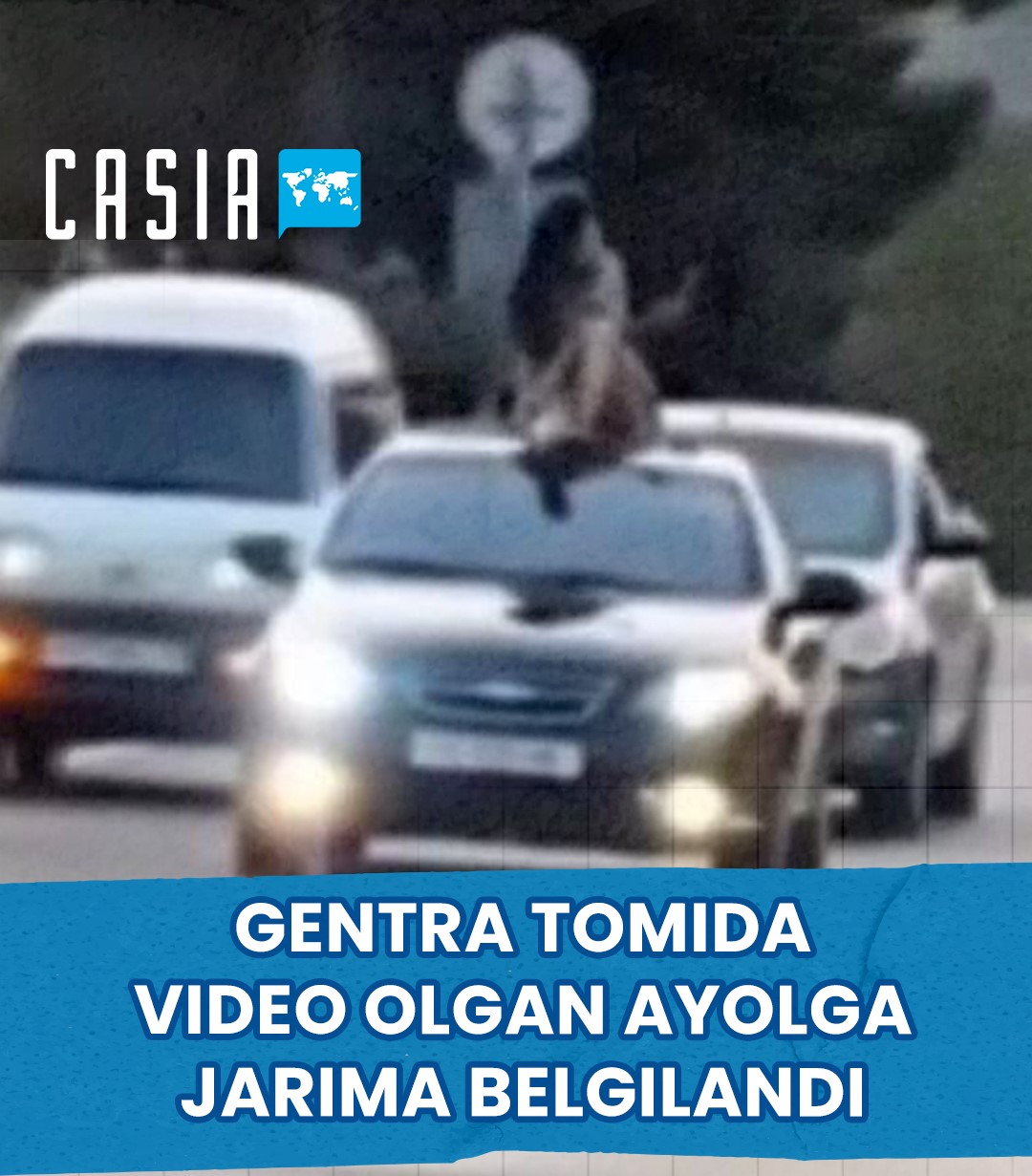 Namangan took action on a woman who climbed onto the roof of a car and took a video