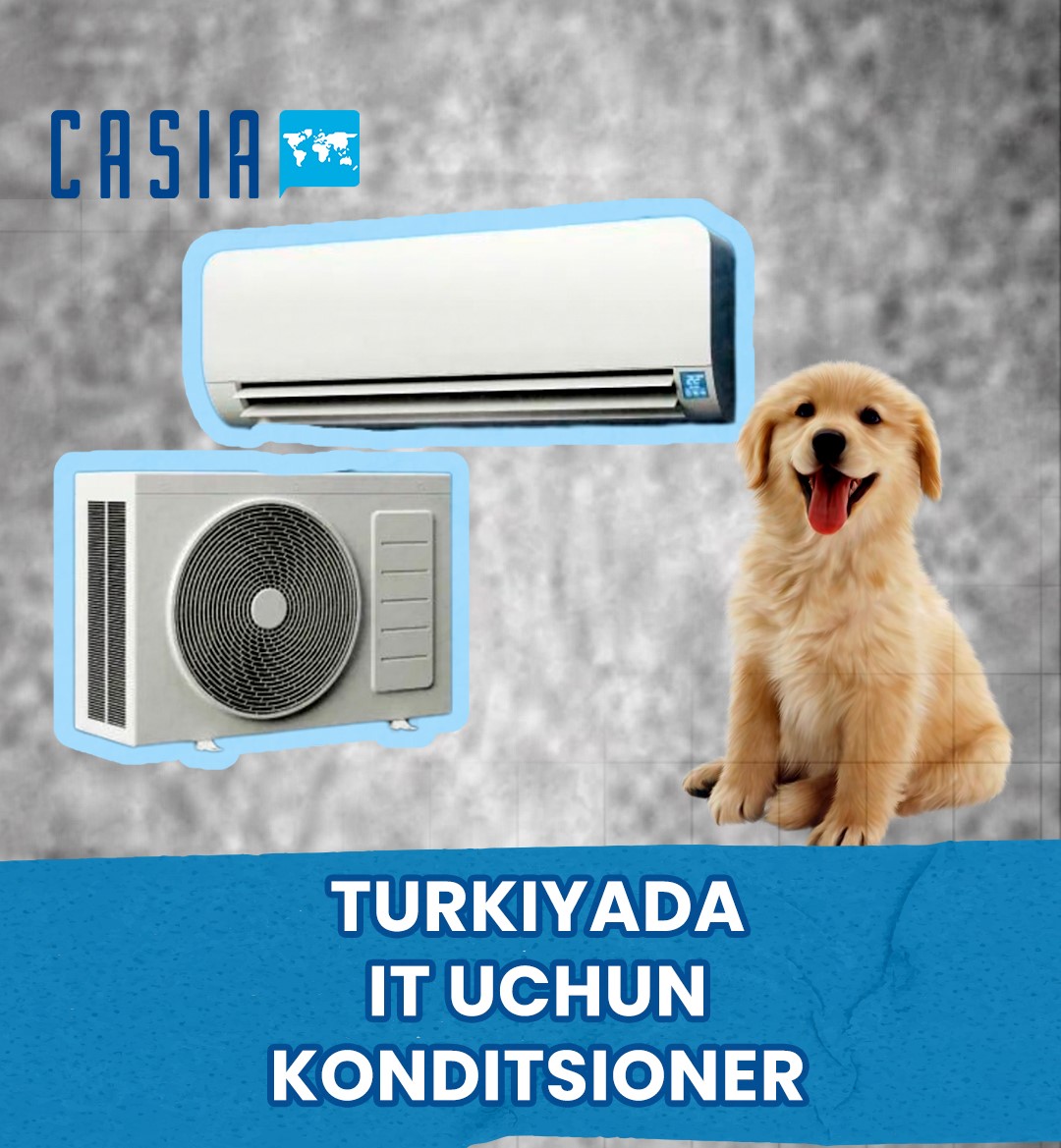 Air conditioner installed for dog in Turkey