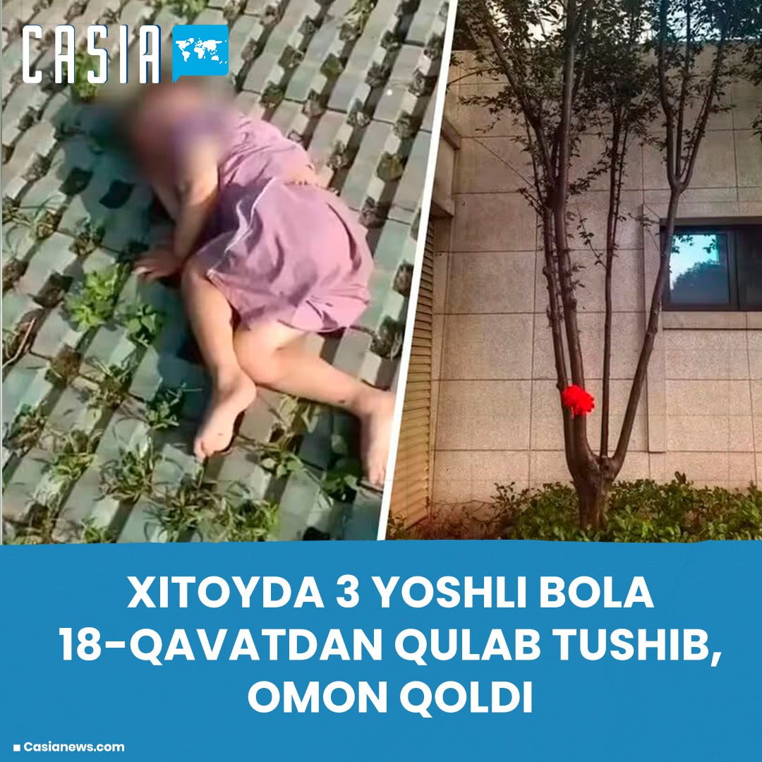 Boy survives fall from 18th floor