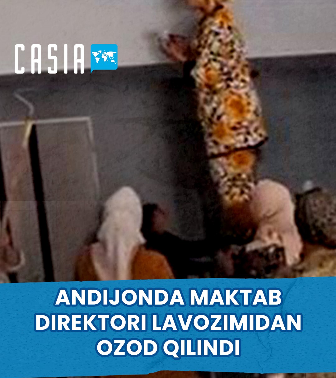 School principal in Andijan fined for involving teachers in repairs