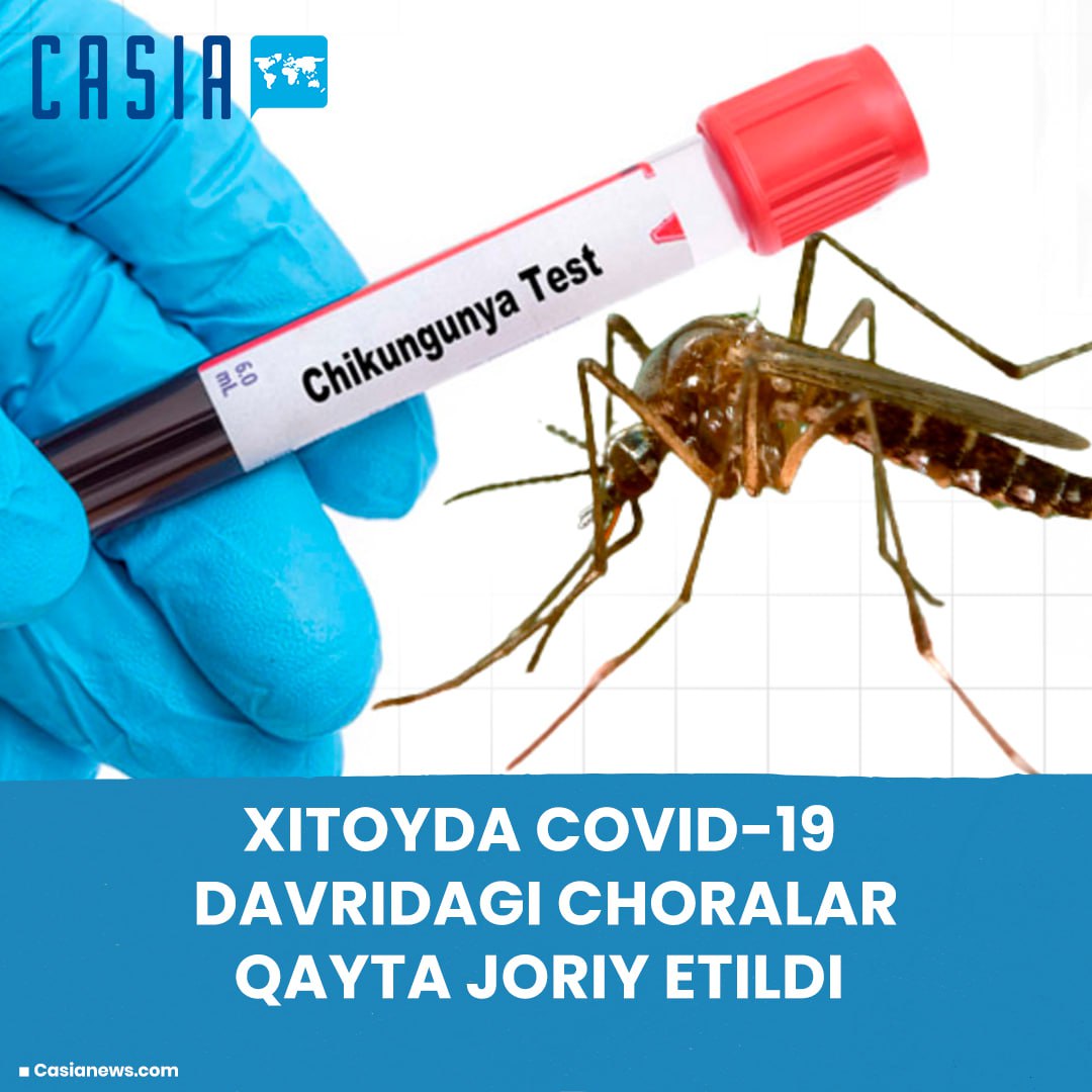 Chikungunya virus spreads widely in China: COVID-era measures reintroduced