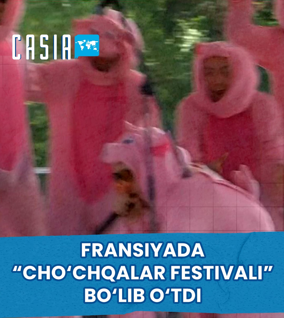 France hosts "Pig Festival"