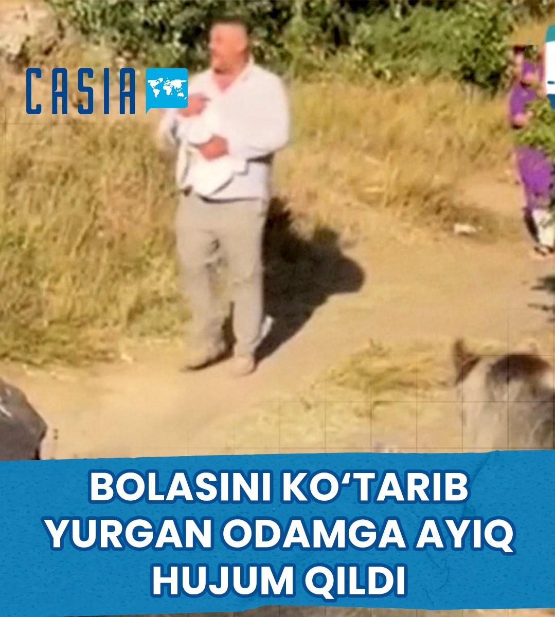 A bear attacked a man carrying his child.