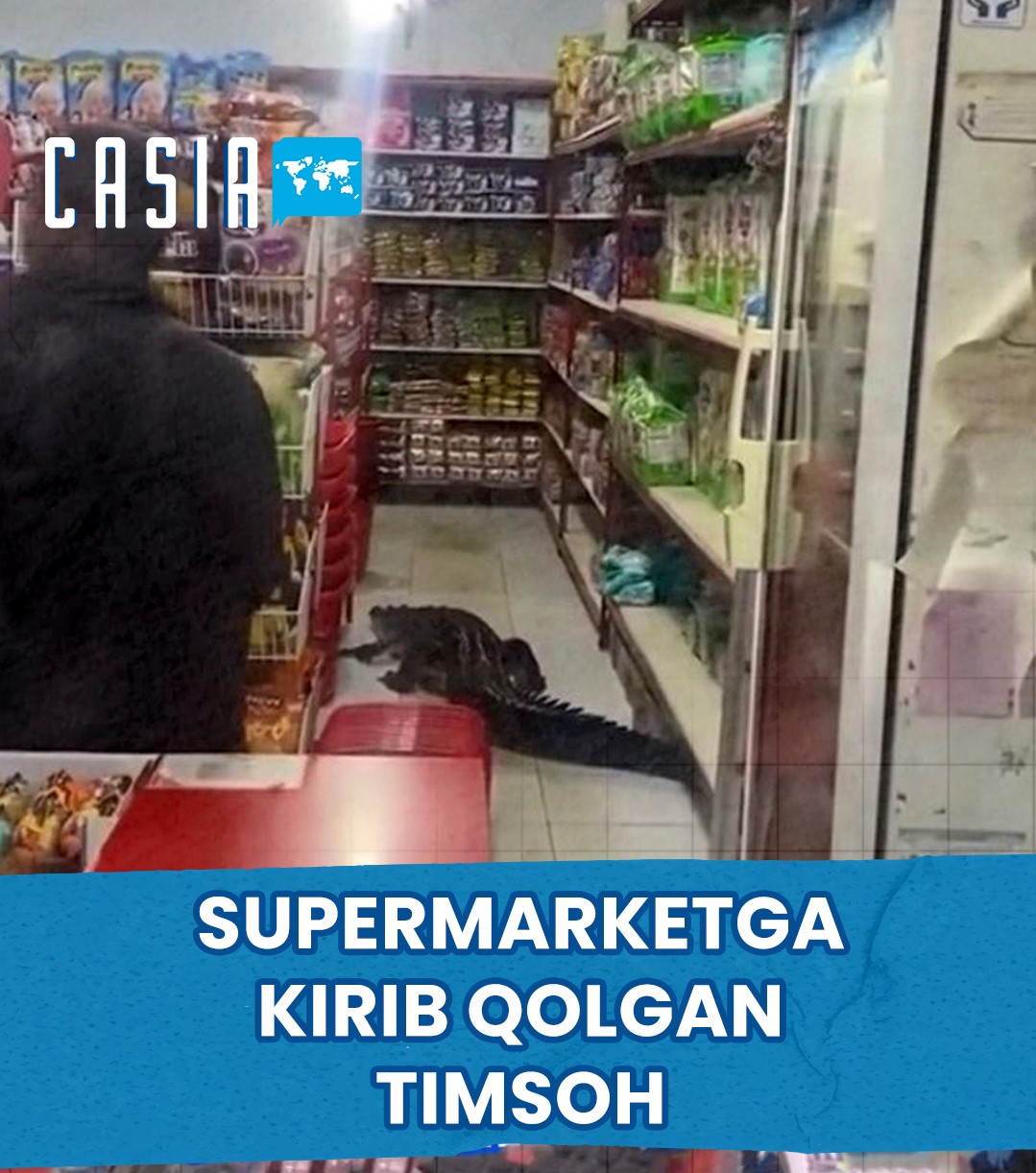 10-foot crocodile invades supermarket in Indonesia