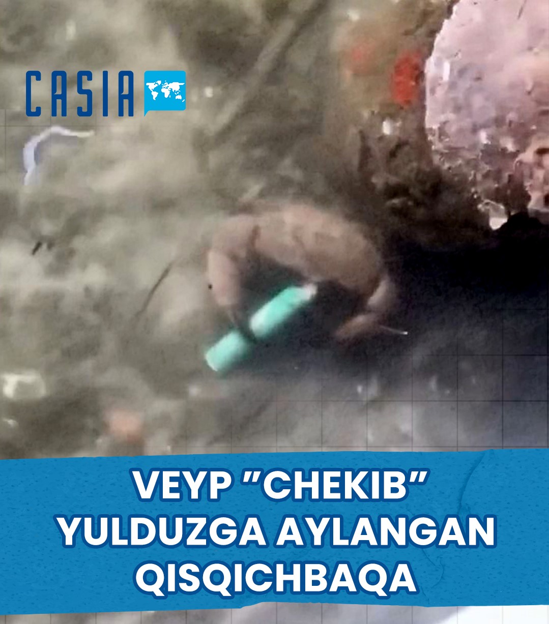 A crab "smoking" a vape underwater
