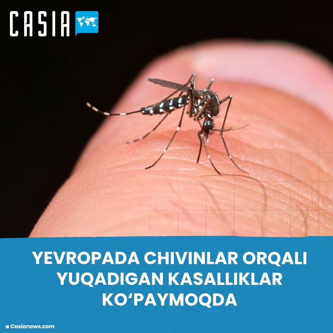 Mosquito-borne diseases are on the rise in Europe