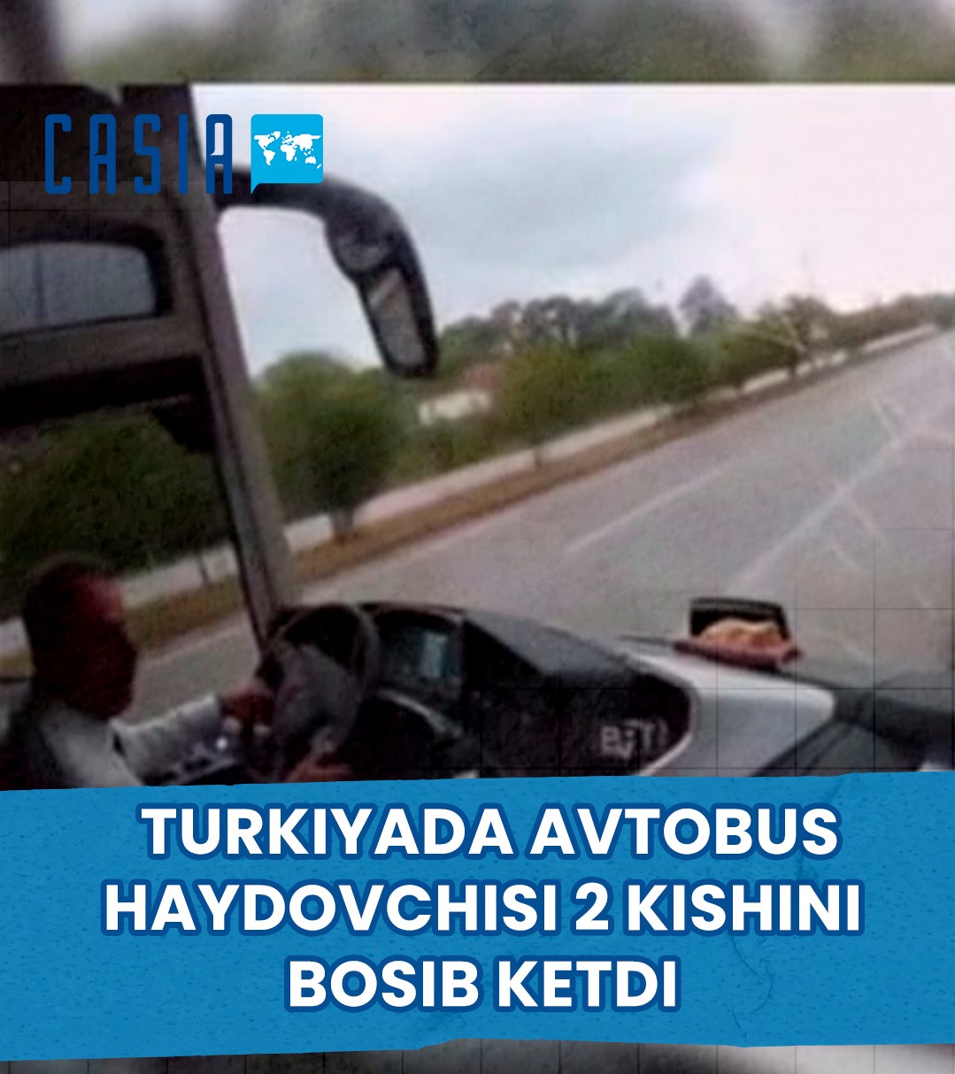 Bus driver in Turkey overtook 2 people