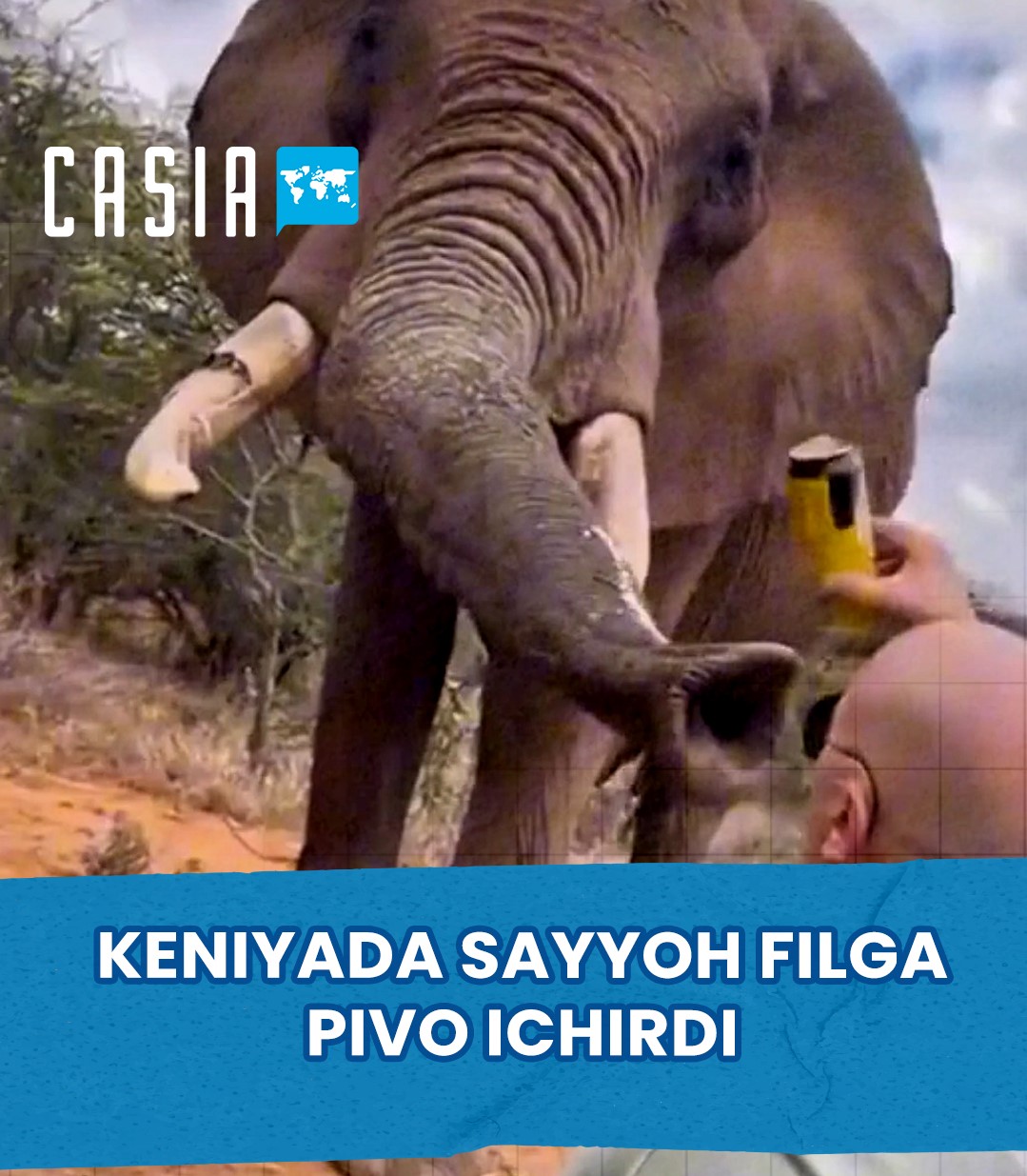 Tourist in Kenya gave beer to an elephant
