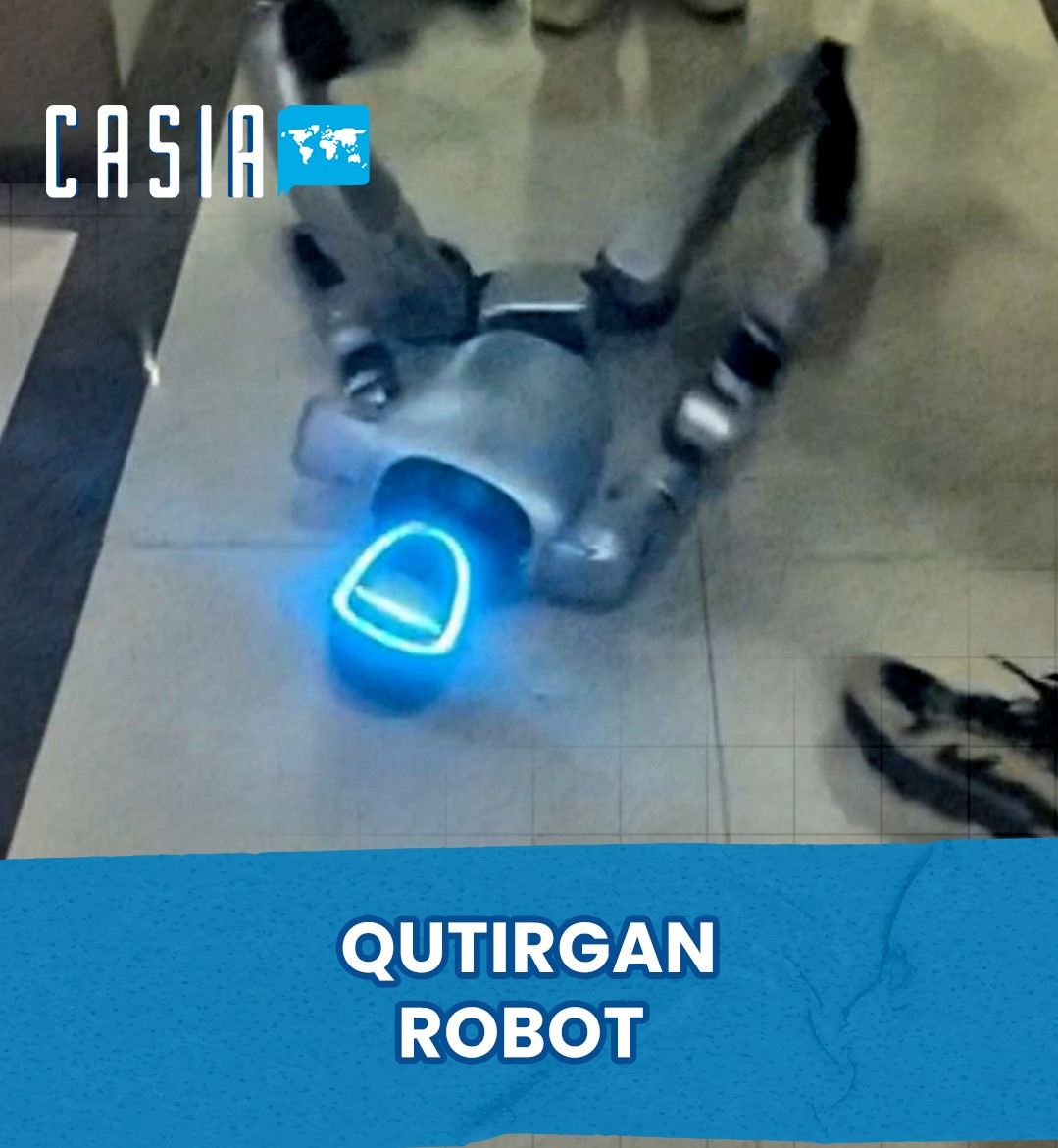 In China, the robot was panicked and “crashed”due to a software problem