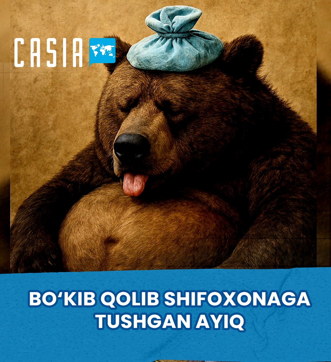 🐻 The greedy bear is back in the hospital