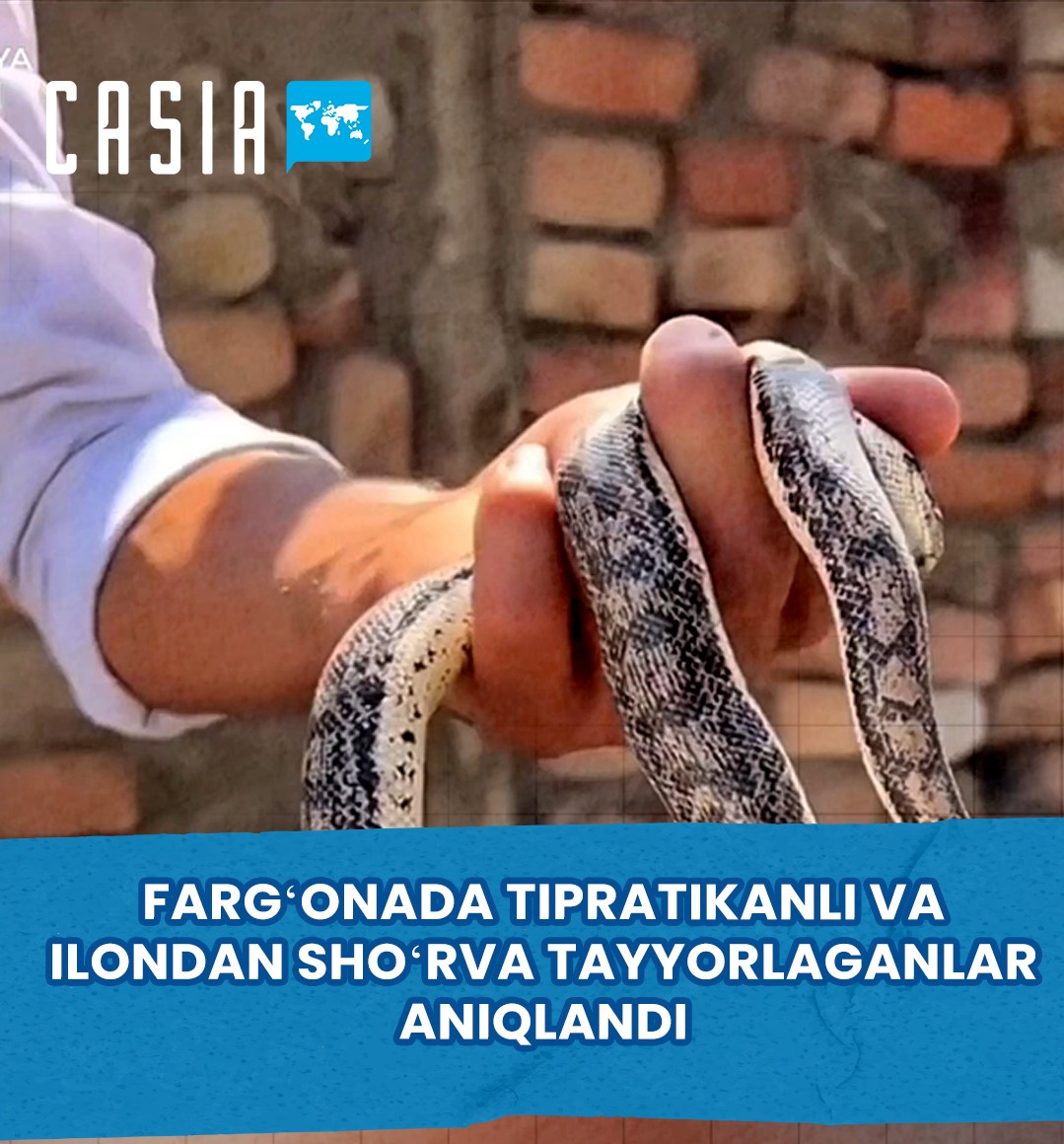 People who made hedgehog and snake soup were identified in Fergana