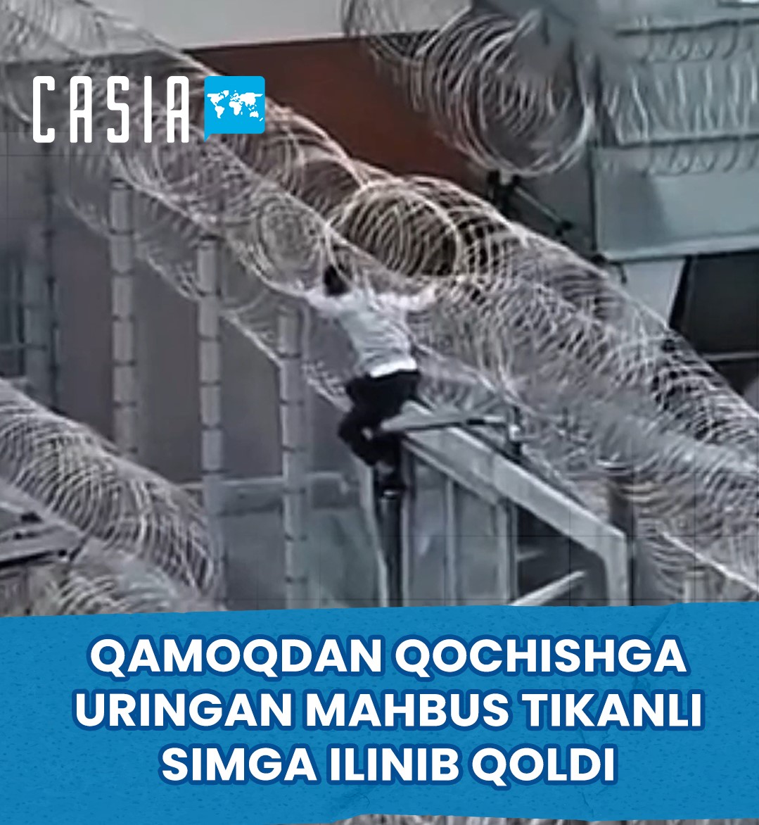 Prisoner trying to escape from prison in Germany gets caught on barbed wire
