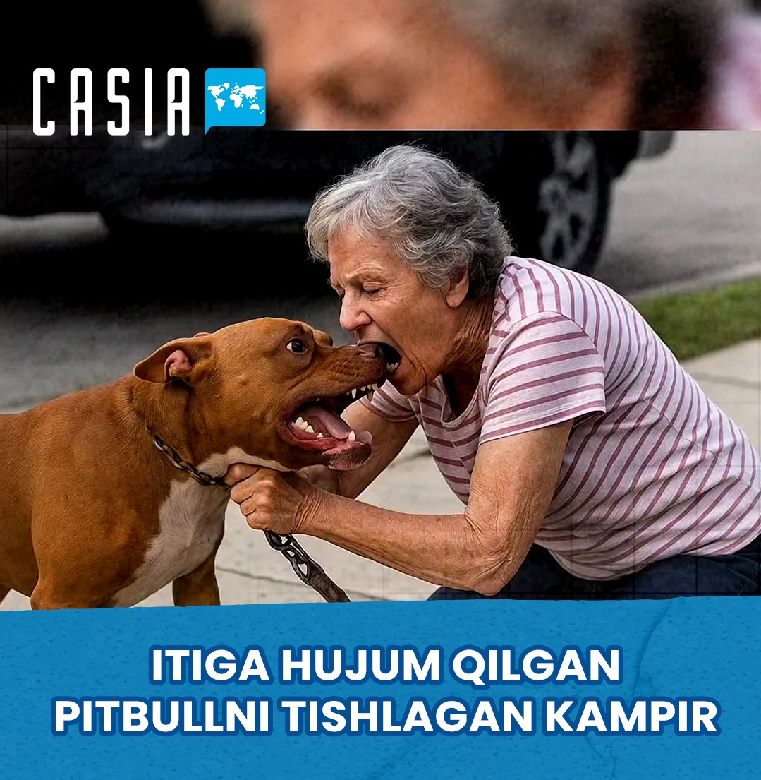 70-year-old woman bites pitbull to protect her dog