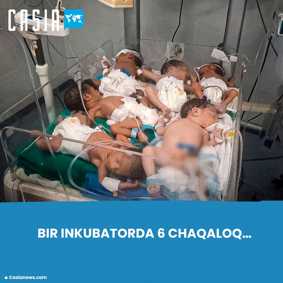 6 babies fighting for life in an incubator  