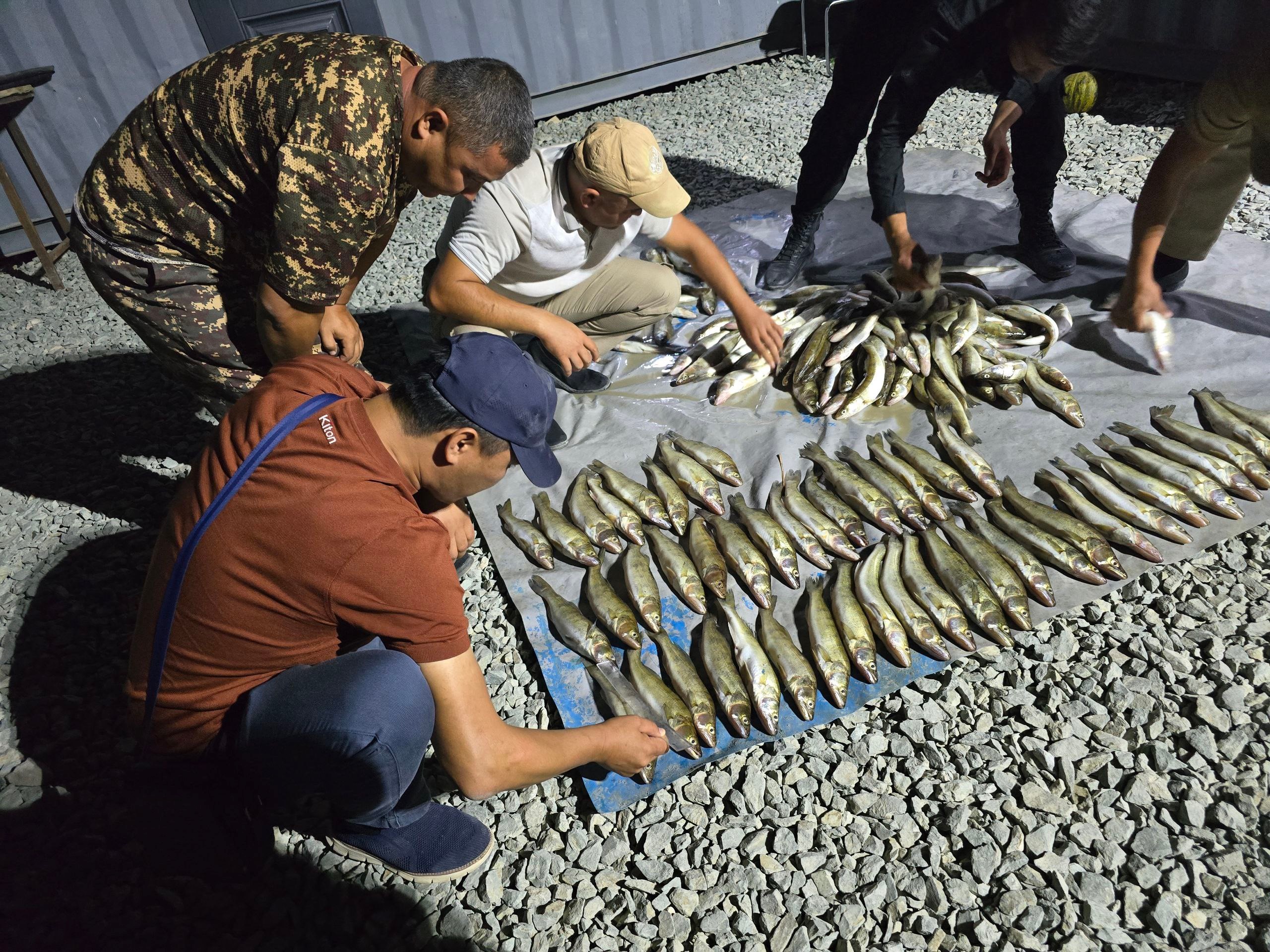 12 Billion Soums in Damages: Why We Must Be Uncompromising Against Environmental Crimes
