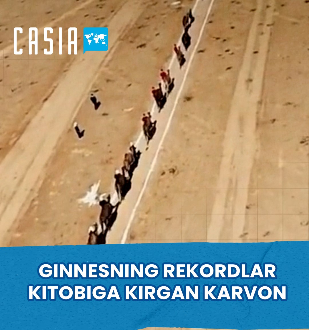 A caravan of 1,000 camels set a record in Kazakhstan