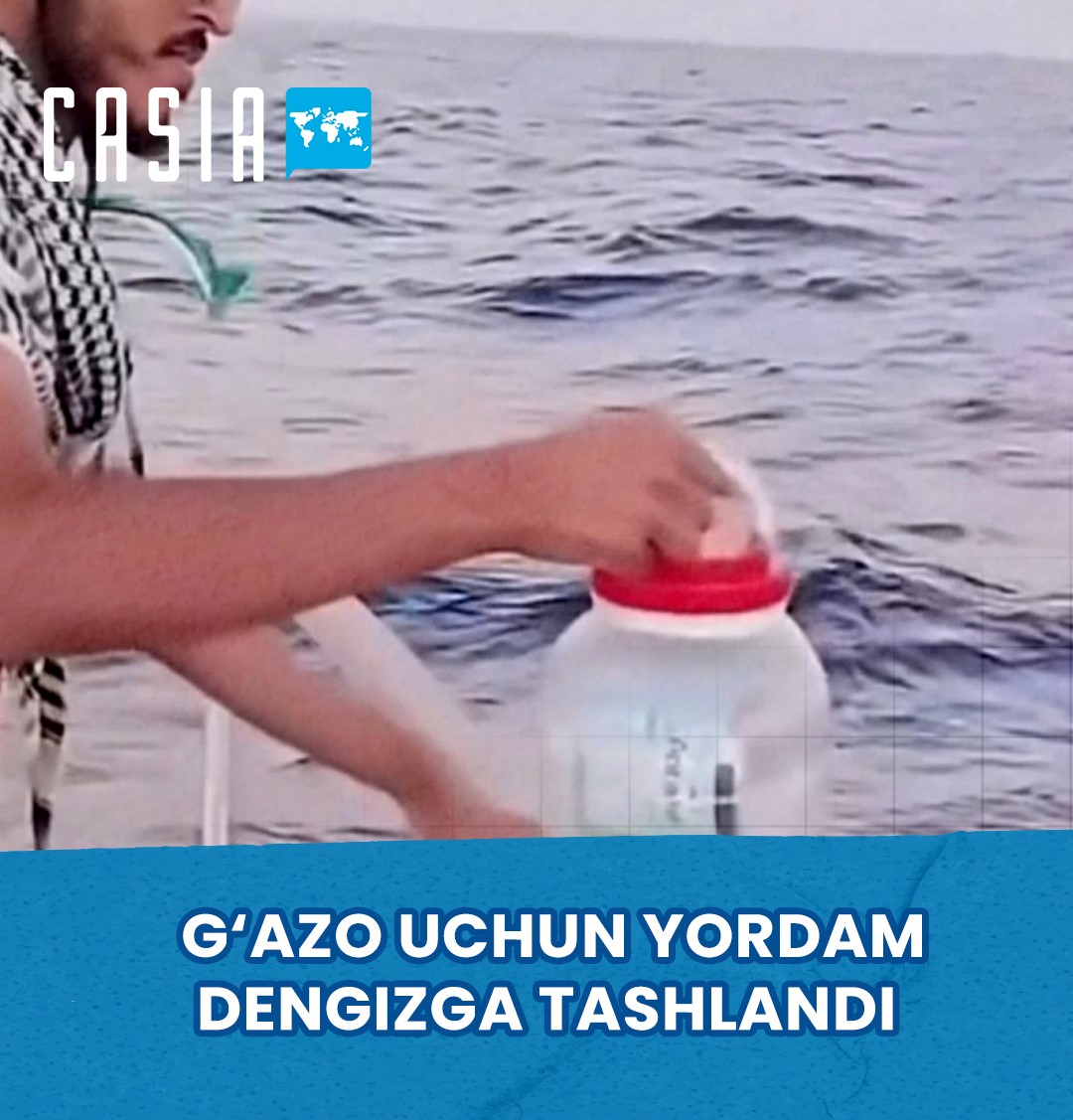Aid for Gaza was thrown into the sea