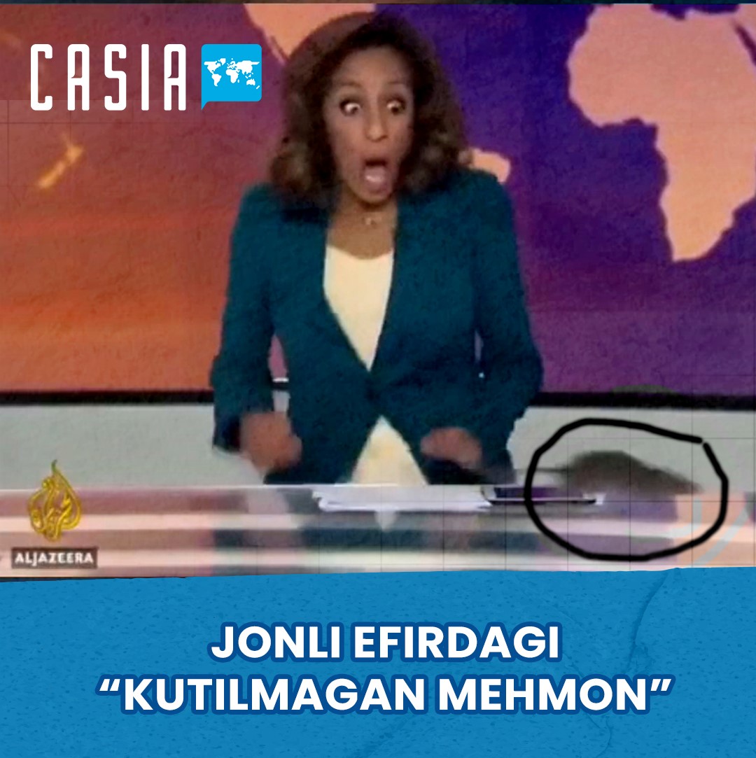 Rat interrupts Al Jazeera live broadcast