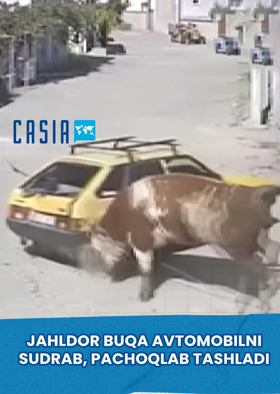 Angry Bull Drags and Destroys a Car in Turkey
