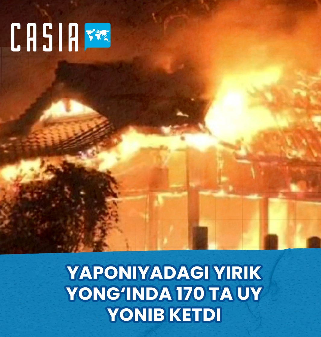 Massive fire in Japan destroys 170 homes