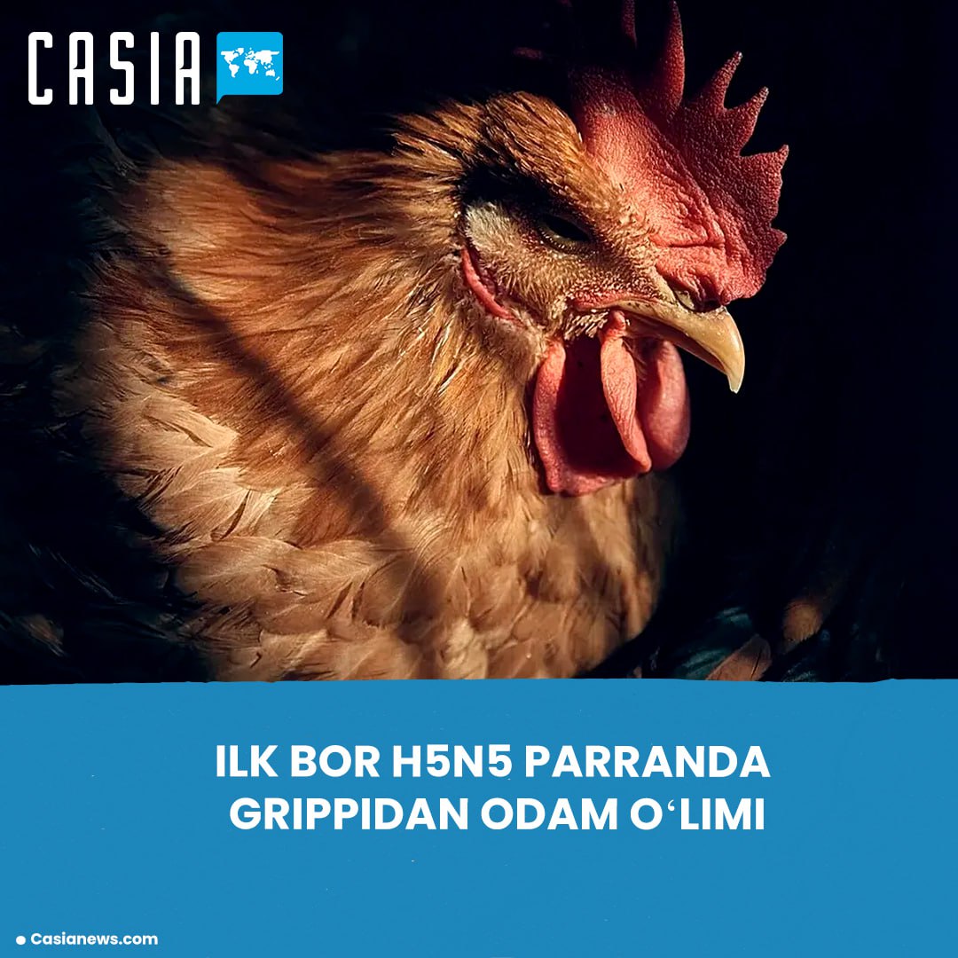 First-ever human death from H5N5 bird flu recorded worldwide