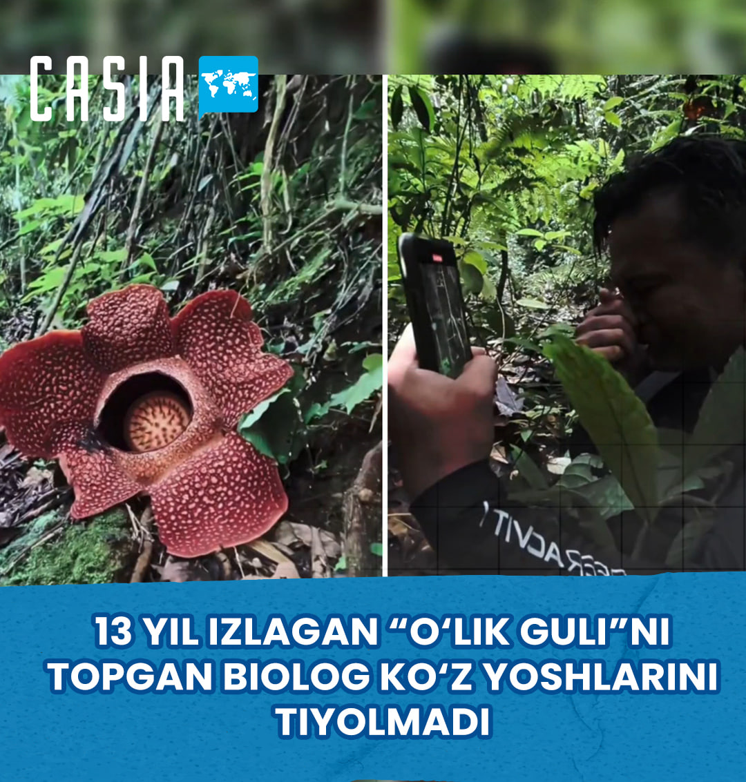 A biologist finds the rarest “corpse flower” after 13 years of research